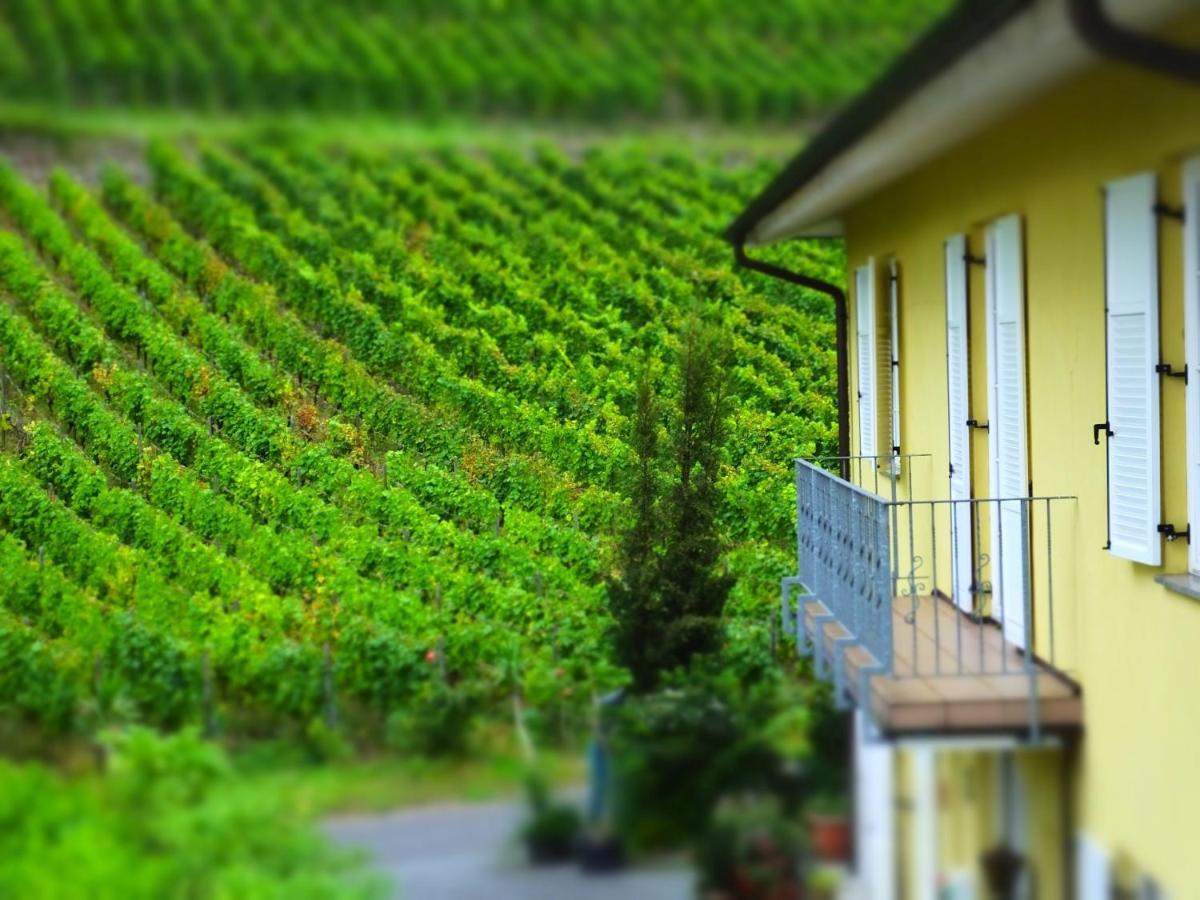Weingut Und Hotel Haus Am Drachenloch Bad Honnef Exterior photo