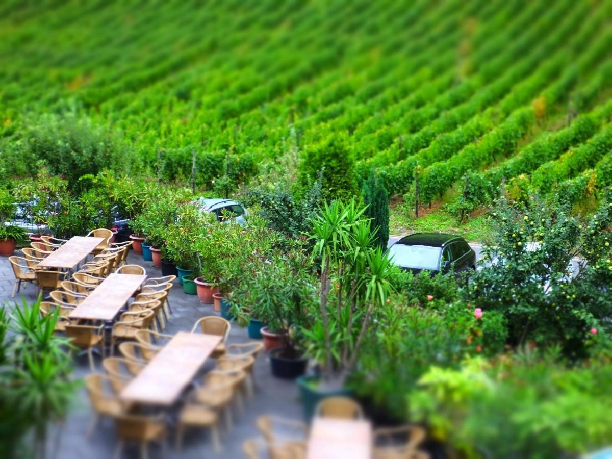 Weingut Und Hotel Haus Am Drachenloch Bad Honnef Room photo