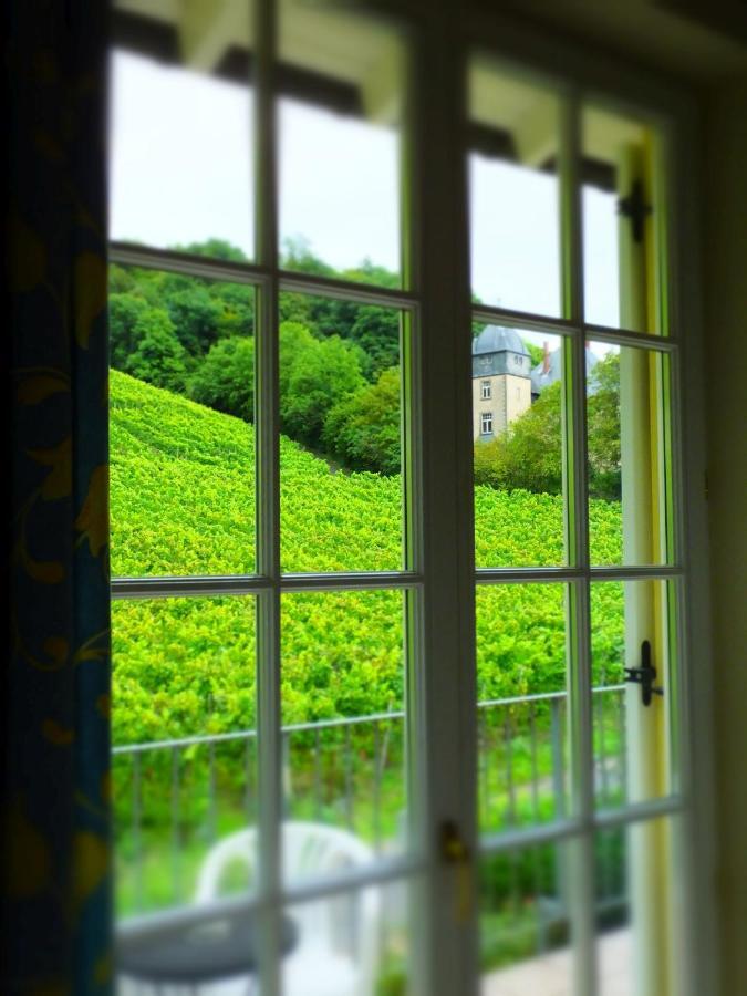 Weingut Und Hotel Haus Am Drachenloch Bad Honnef Room photo