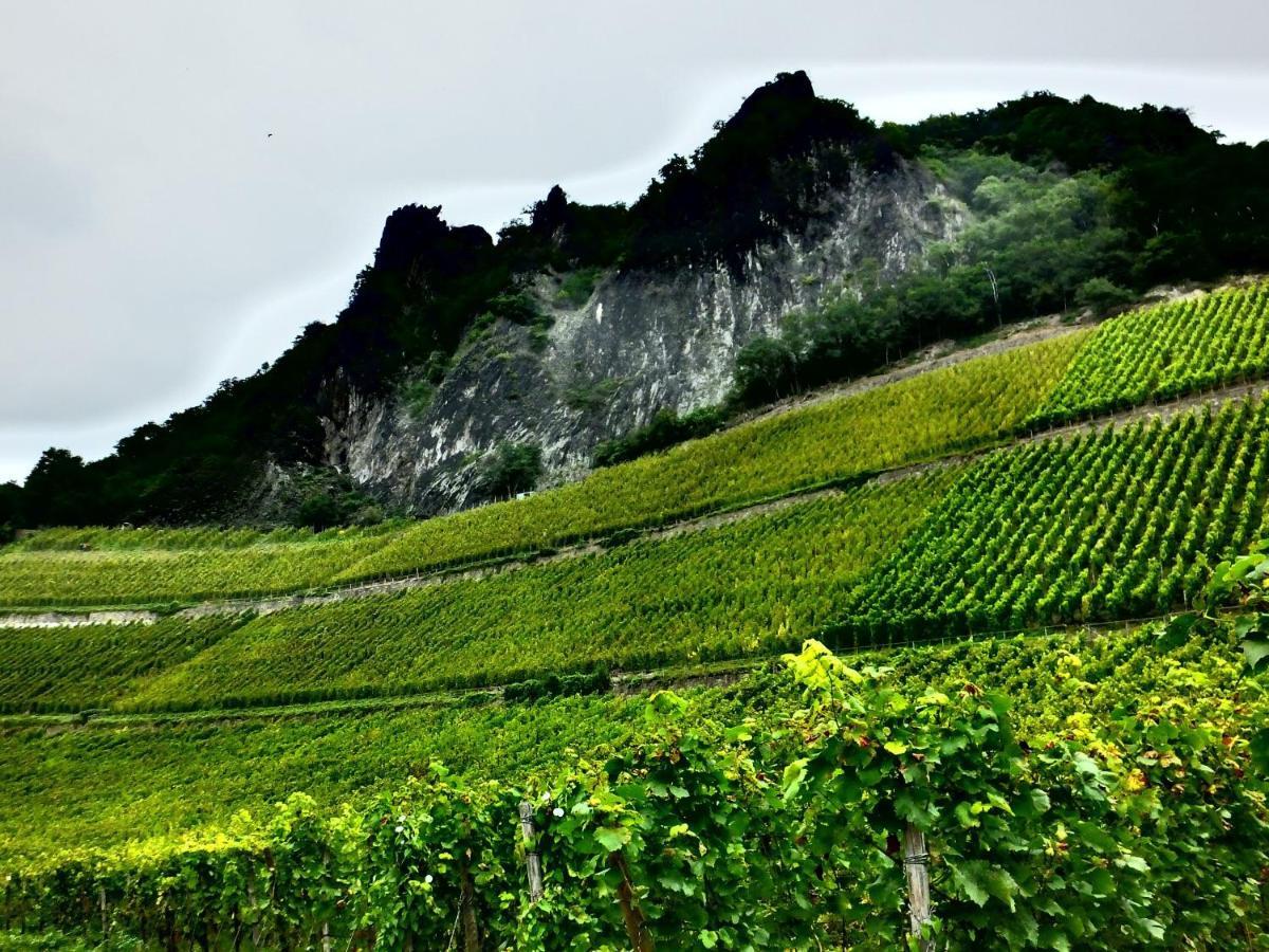 Weingut Und Hotel Haus Am Drachenloch Bad Honnef Exterior photo